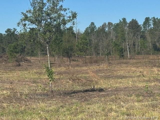 Rd 20 Acre Tract, Longville, LA 70652
