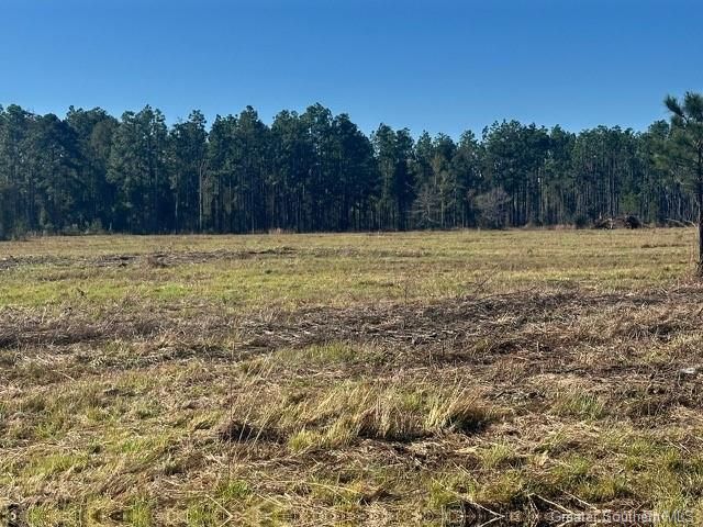 Rd 20 Acre Tract, Longville, LA 70652