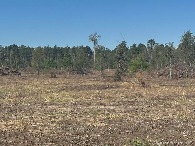Rd 20 Acre Tract, Longville, LA 70652
