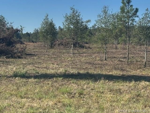 Rd 20 Acre Tract, Longville, LA 70652