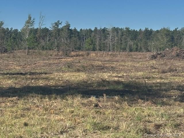 Rd 20 Acre Tract, Longville, LA 70652