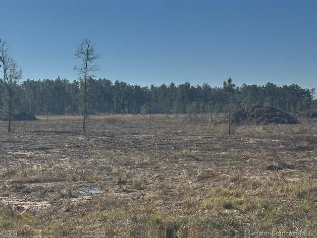 Rd 20 Acre Tract, Longville, LA 70652