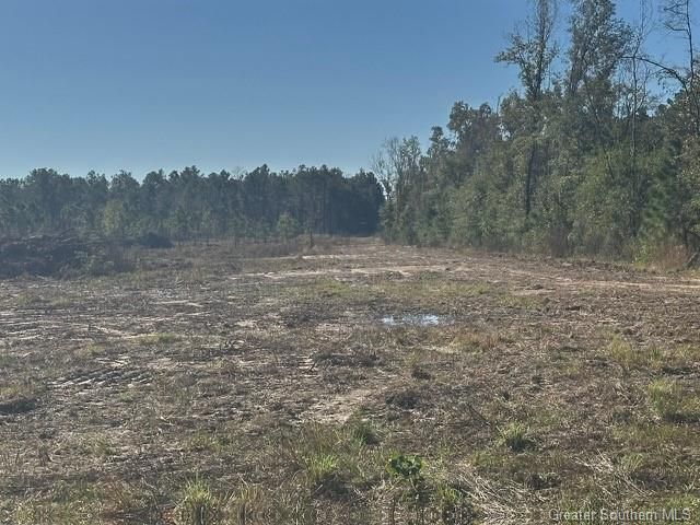 Rd 20 Acre Tract, Longville, LA 70652