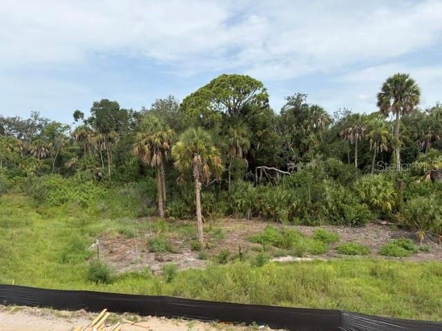 9927 HIDDEN HAMMOCK LOOP, Parrish, FL 34219