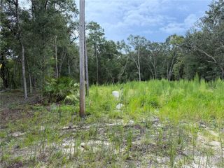 106 JACKSON AVENUE, Interlachen, FL 32148