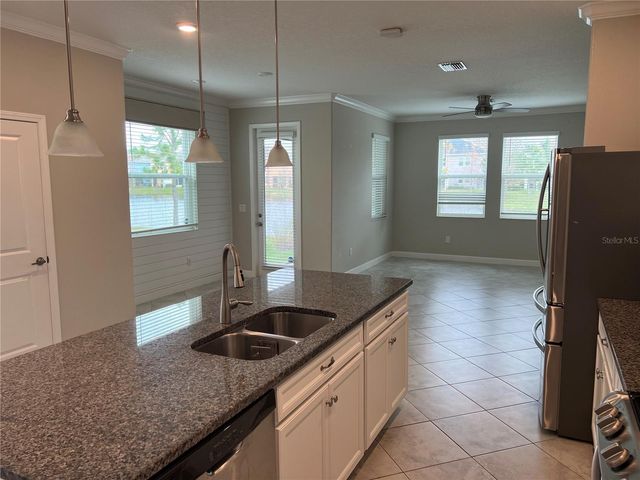 18650 NOBLE CASPIAN DRIVE, Lutz, FL 33558