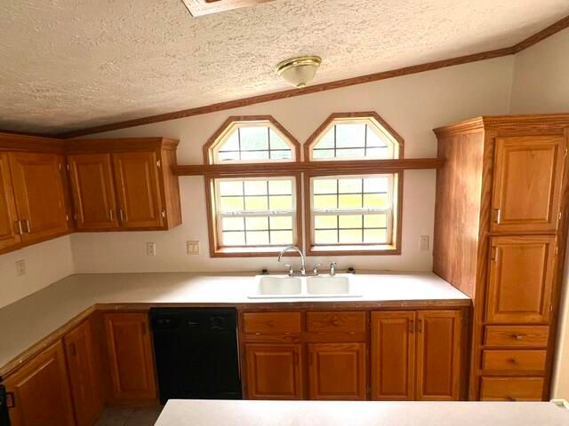 6596 Middleton Drive, Greenville, MI 48838