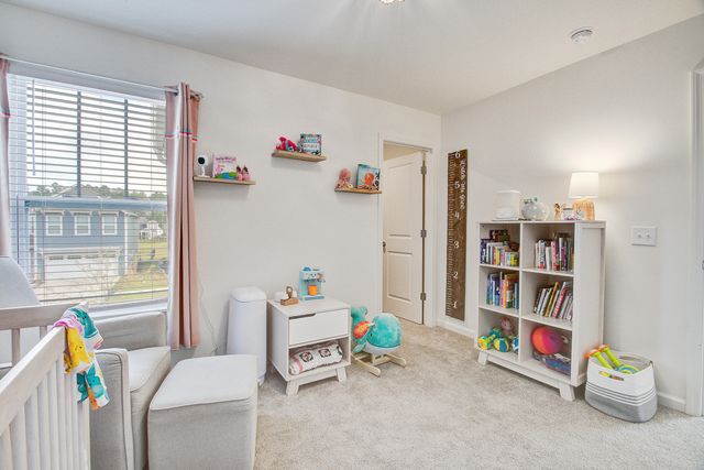 209 Night Heron Street, Summerville, SC 29486