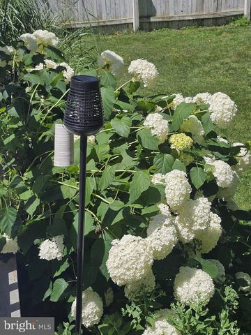 5585 HARMONY WOODS DR, Preston, MD 21655