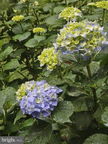 5585 HARMONY WOODS DR, Preston, MD 21655