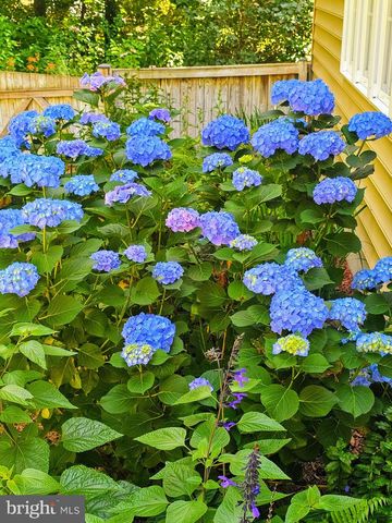 5585 HARMONY WOODS DR, Preston, MD 21655