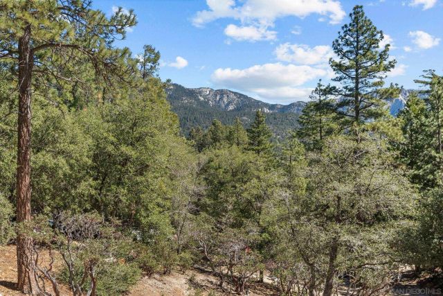 52910 Cedar Dr, Idyllwild, CA 92549