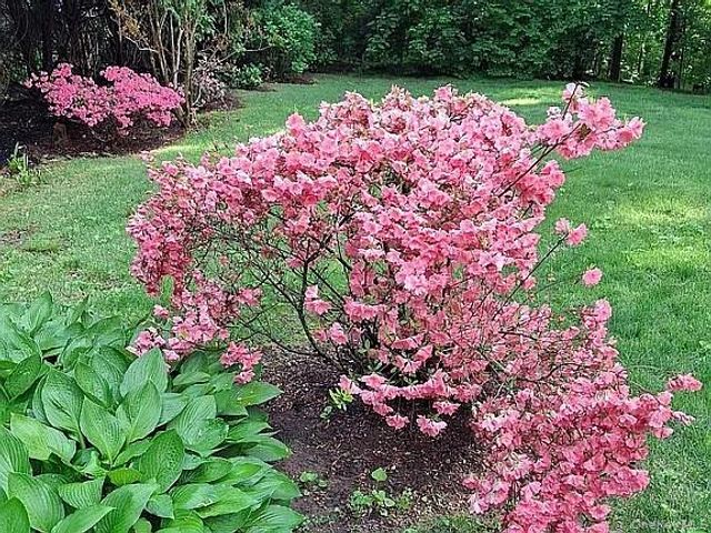 64 Alpine Road, Yonkers, NY 10710