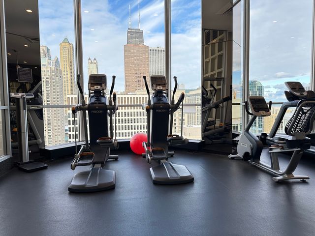 535 N Michigan Avenue 1701, Chicago, IL 60611