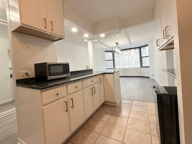 535 N Michigan Avenue 1701, Chicago, IL 60611