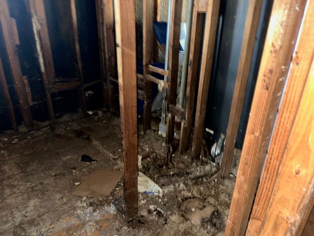 356 Wilshire Street, Park Forest, IL 60466