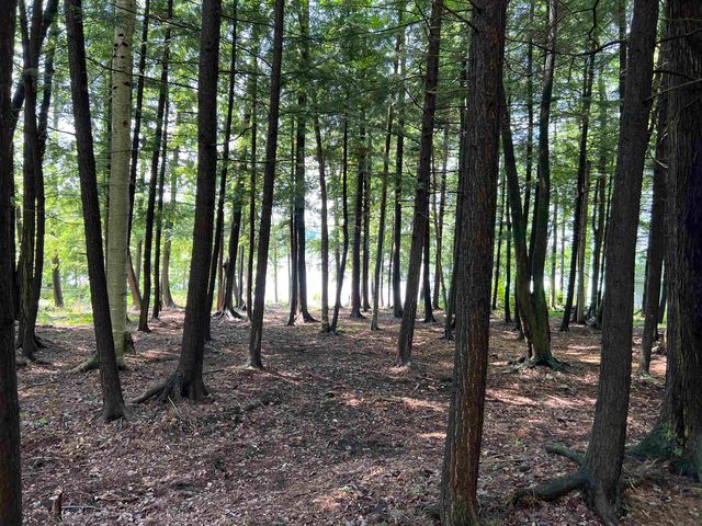 00 S Lake Leelanau Drive, Lake Leelanau, MI 49653