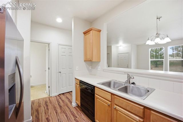 1316 Walters Point, Monument, CO 80132