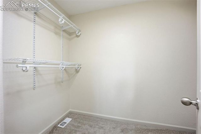 1316 Walters Point, Monument, CO 80132