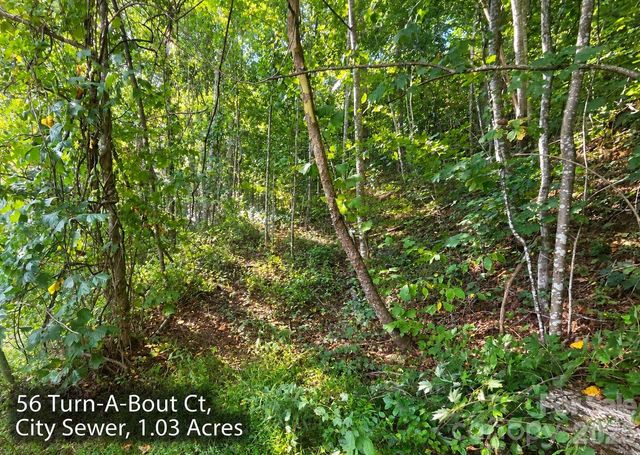 300 Turn-A-Bout Court 56, Maggie Valley, NC 28785