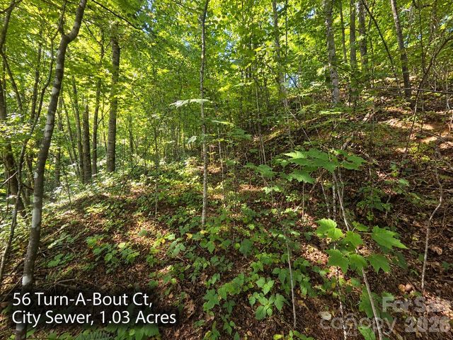 300 Turn-A-Bout Court 56, Maggie Valley, NC 28785