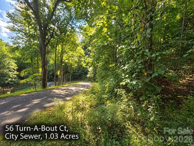 300 Turn-A-Bout Court 56, Maggie Valley, NC 28785