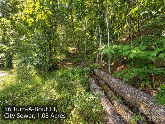 300 Turn-A-Bout Court 56, Maggie Valley, NC 28785