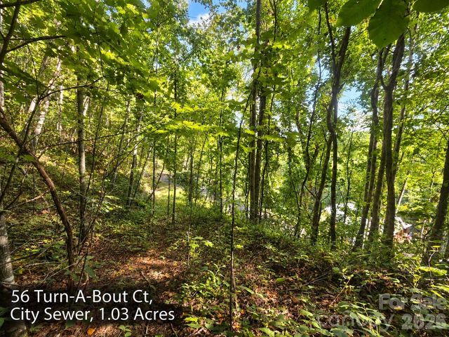 300 Turn-A-Bout Court 56, Maggie Valley, NC 28785