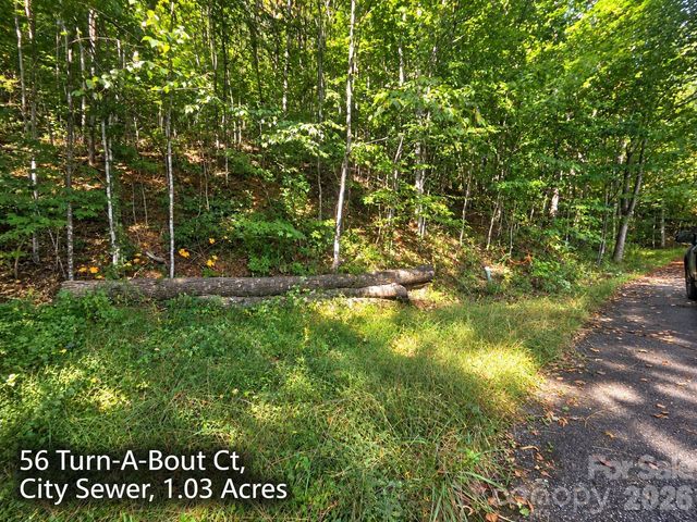 300 Turn-A-Bout Court 56, Maggie Valley, NC 28785