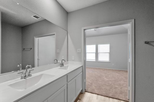 438 Camas Creek Lane, Magnolia, TX 77354