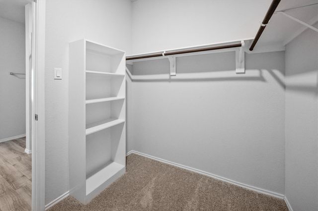 438 Camas Creek Lane, Magnolia, TX 77354