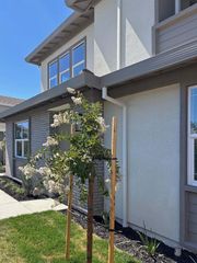 2873 Brentridge St, Lathrop, CA 95330