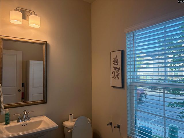 729 Wild Duck Lane, Columbia, SC 29210