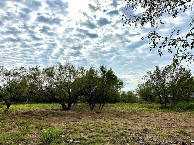 22601 County Road 534, Cross Plains, TX 76443