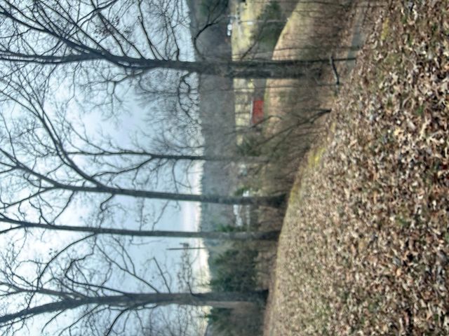 125 Moore View Drive, Murphy, NC 28906