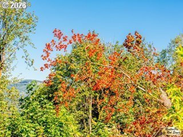0 Mt Pleasant Dr, Washougal, WA 98671