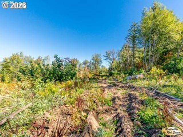 0 Mt Pleasant Dr, Washougal, WA 98671