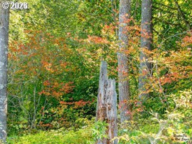 0 Mt Pleasant Dr, Washougal, WA 98671