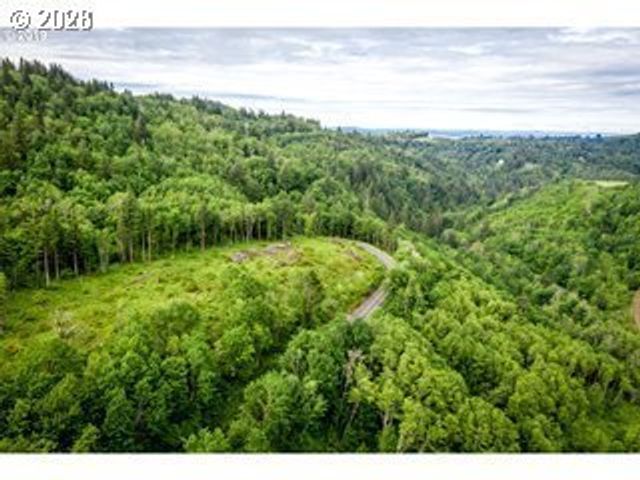 0 Mt Pleasant Dr, Washougal, WA 98671