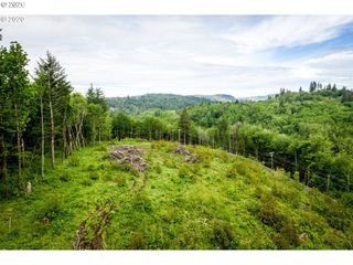 0 Mt Pleasant Dr, Washougal, WA 98671