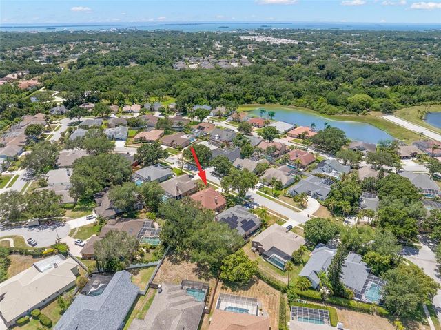 895 WHIPPOORWILL DRIVE, Palm Harbor, FL 34683