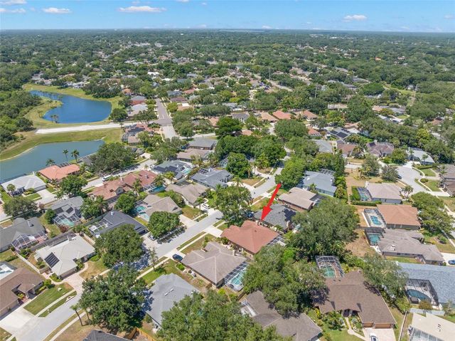895 WHIPPOORWILL DRIVE, Palm Harbor, FL 34683