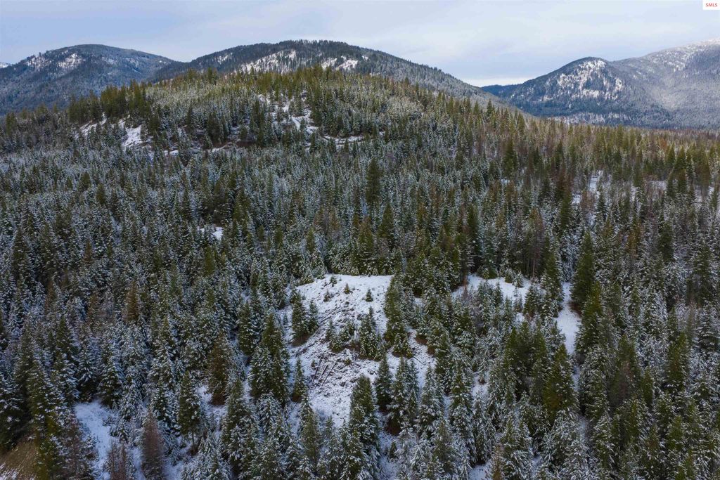 533739 US HWY 95 - 75 & 95 Acres, Bonners Ferry, ID 83805 photo 14