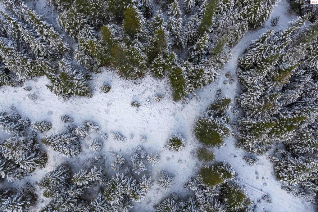 533739 US HWY 95 - 75 & 95 Acres, Bonners Ferry, ID 83805 photo 15