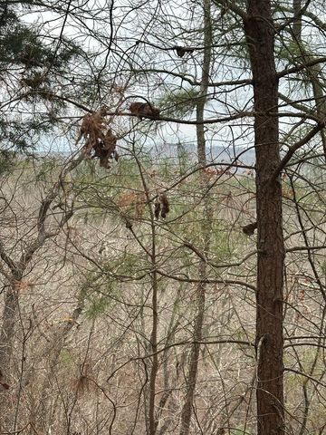 306 Oberlin Court, Ranger, GA 30734