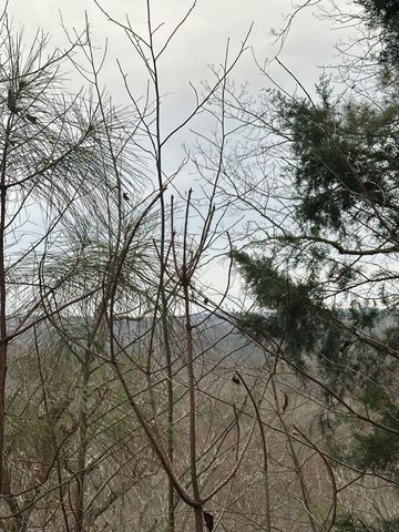 306 Oberlin Court, Ranger, GA 30734