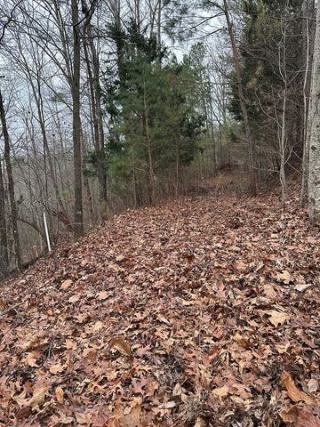 306 Oberlin Court, Ranger, GA 30734