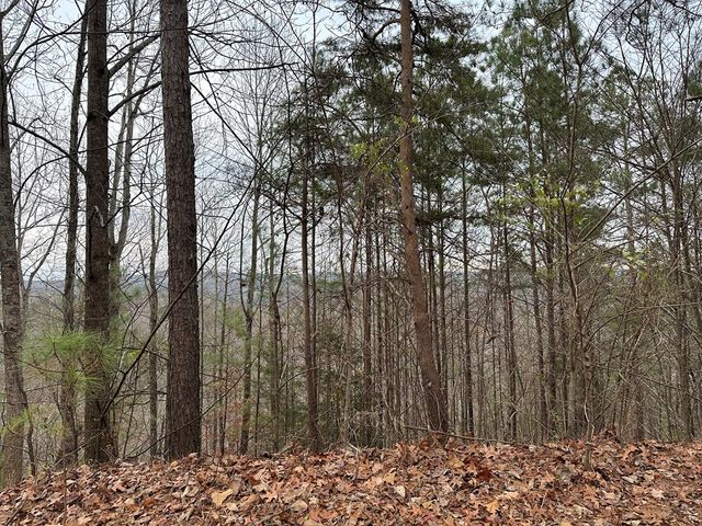 306 Oberlin Court, Ranger, GA 30734