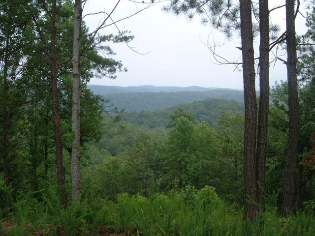 306 Oberlin Court, Ranger, GA 30734