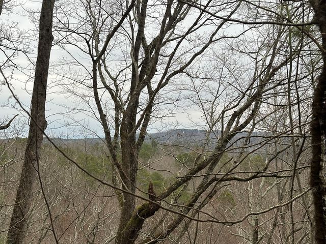 306 Oberlin Court, Ranger, GA 30734